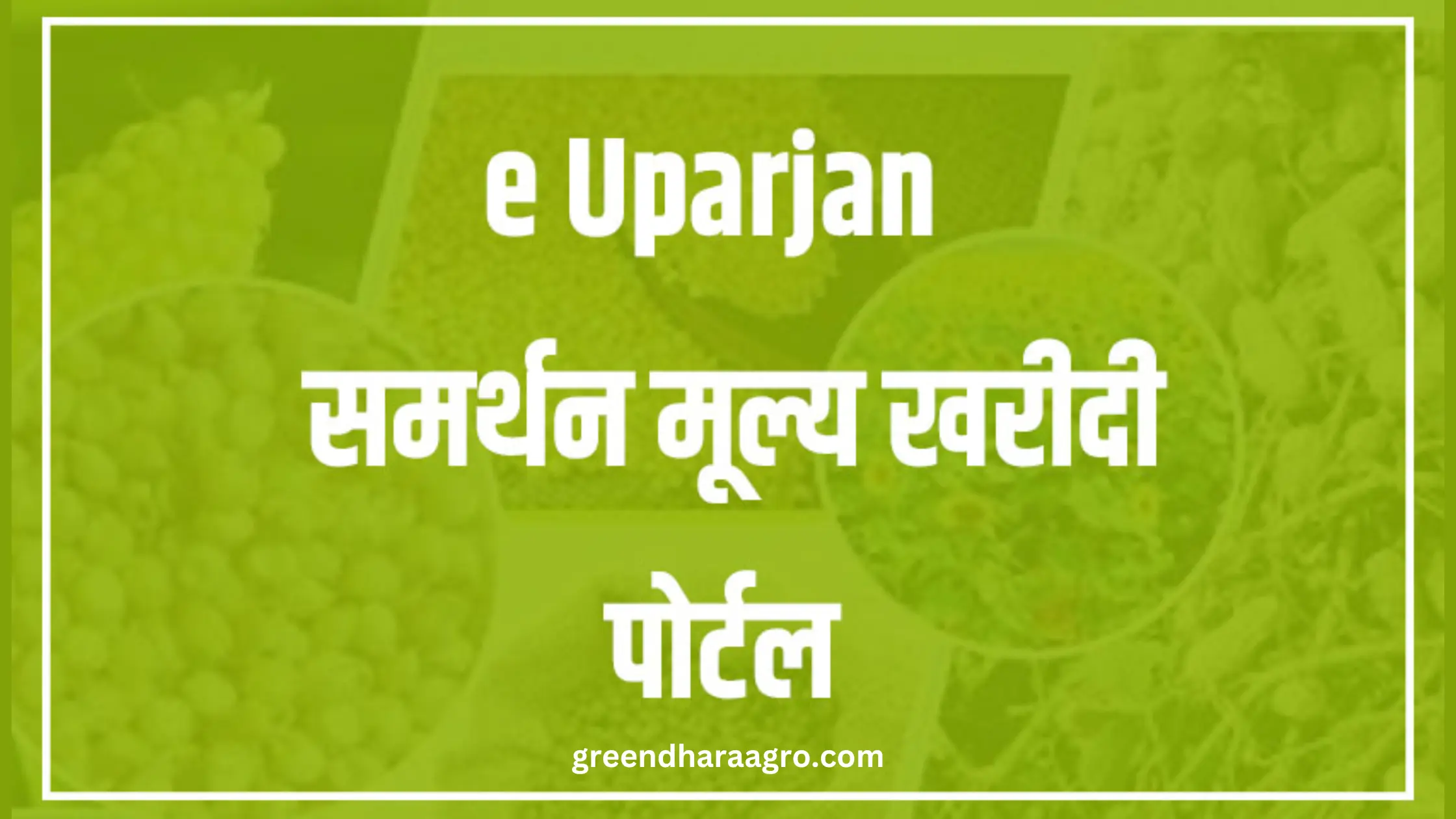 E Uparjan Portal MP | ई उपार्जन किसान ऑनलाइन पंजीयन @mpeuparjan.nic.in