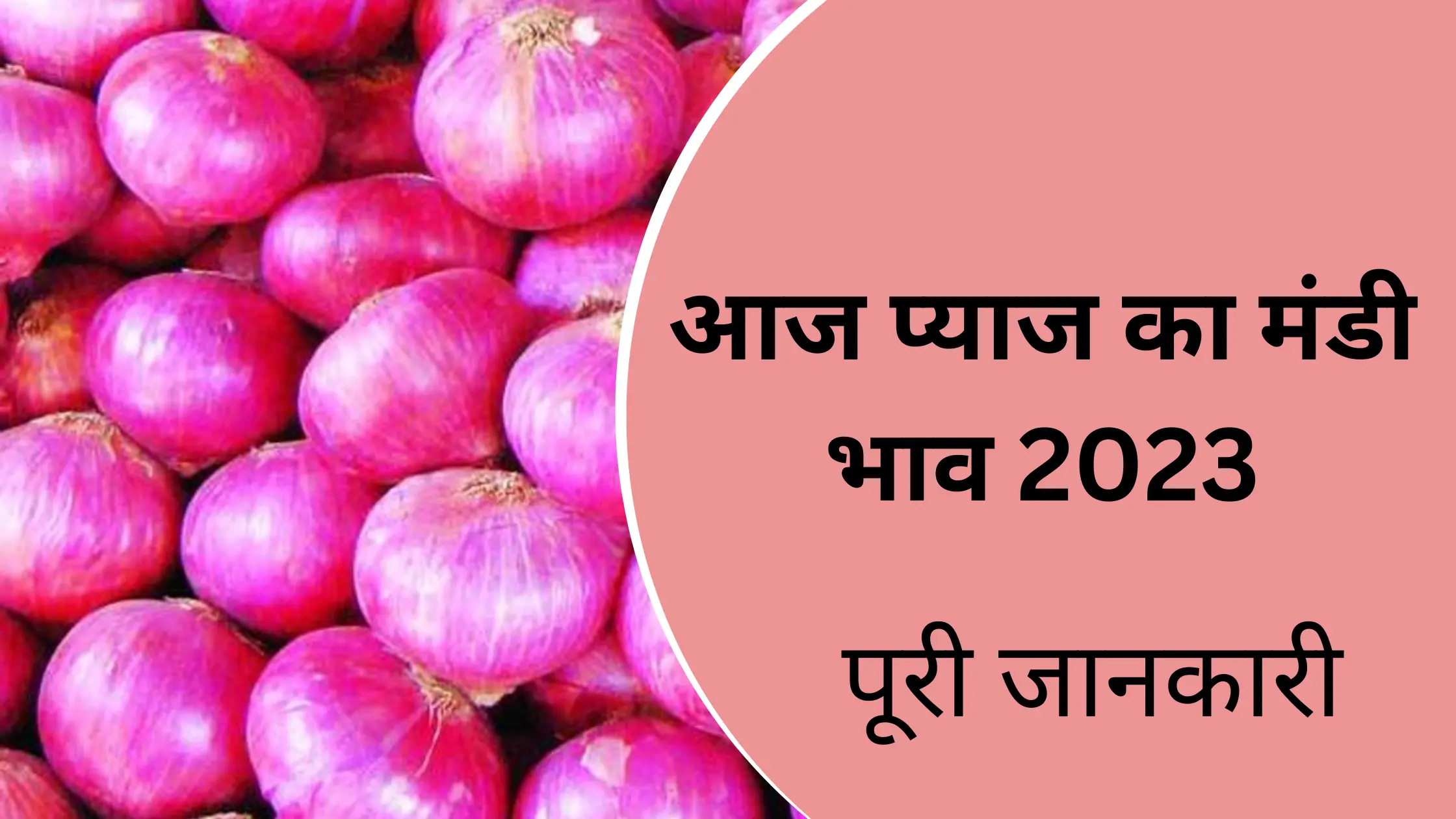 आज प्याज का मंडी भाव 2023 | Today Onion Rate in Mandi [Aaj Pyaz ka bhav]
