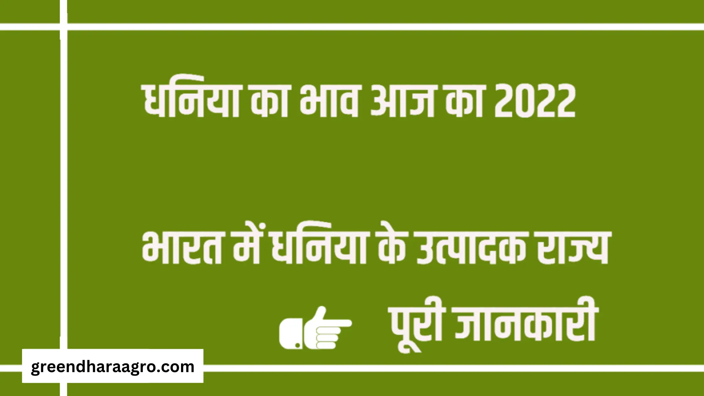 धनिया का भाव आज का 2023 | Today Coriander Rate | Aaj Ka Dhaniya Ka Bhav