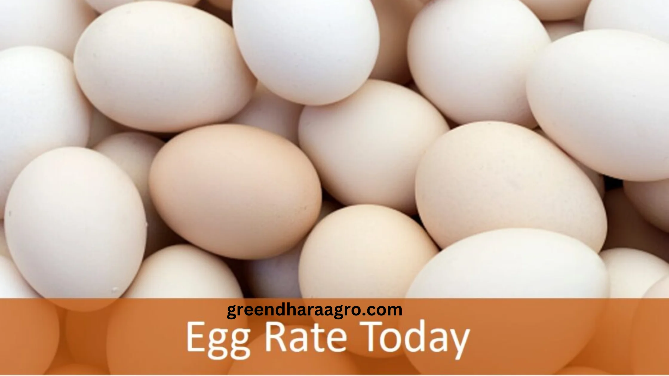 आज का अंडे का भाव क्या है ? NECC Egg Rate Today 2023 – Aaj Ande Ka Rate Kitna Hai