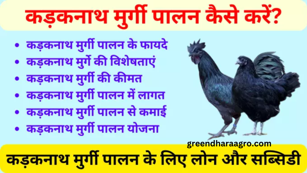 govt. scheme in hindi