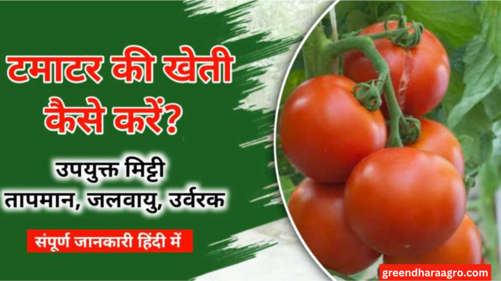best farming ideas in hindi
