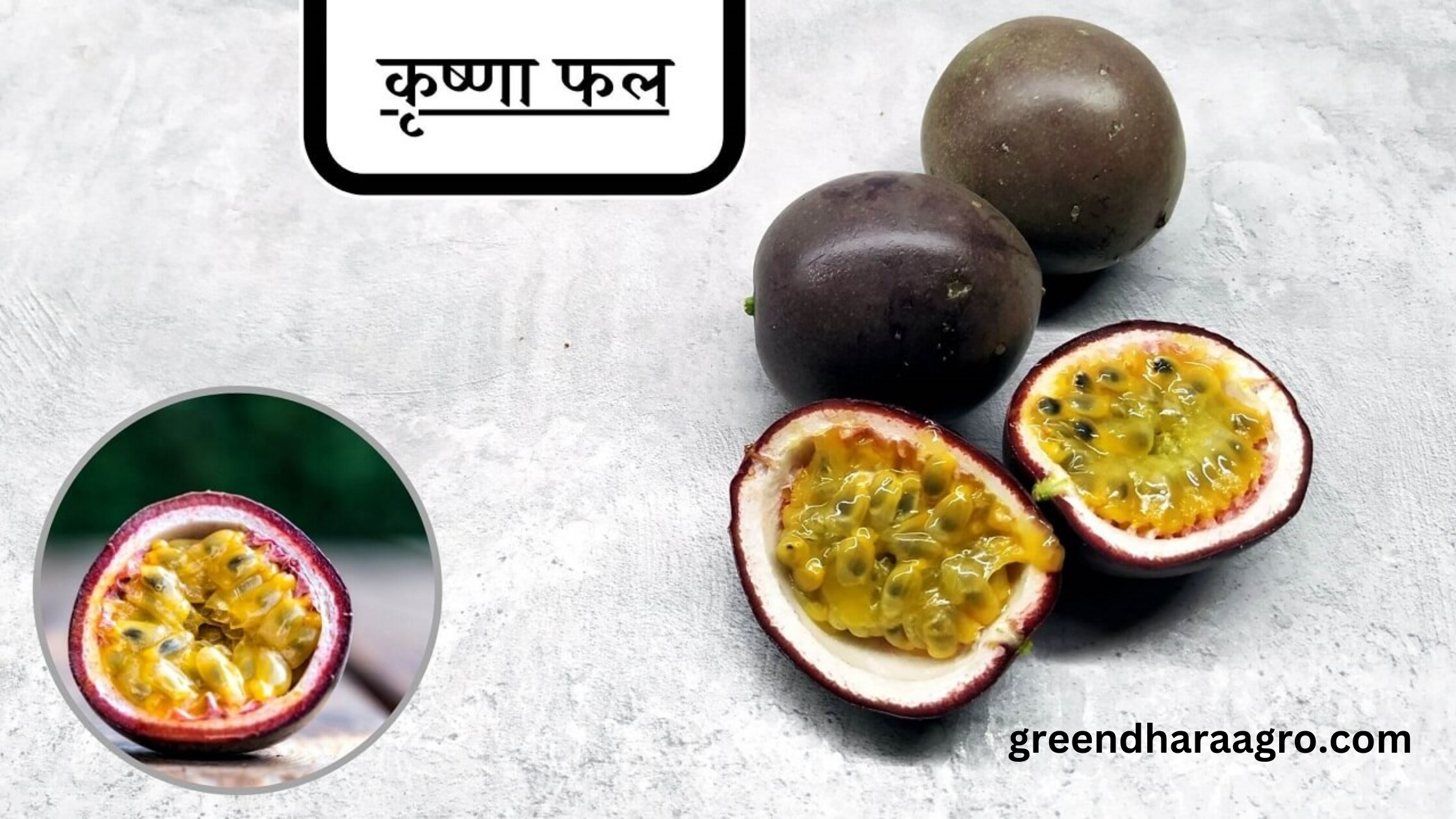 कृष्णा फल (पैशन फ्रूट) की खेती | Passion Fruit Ki Kheti, Passion Fruit Cultivation in India