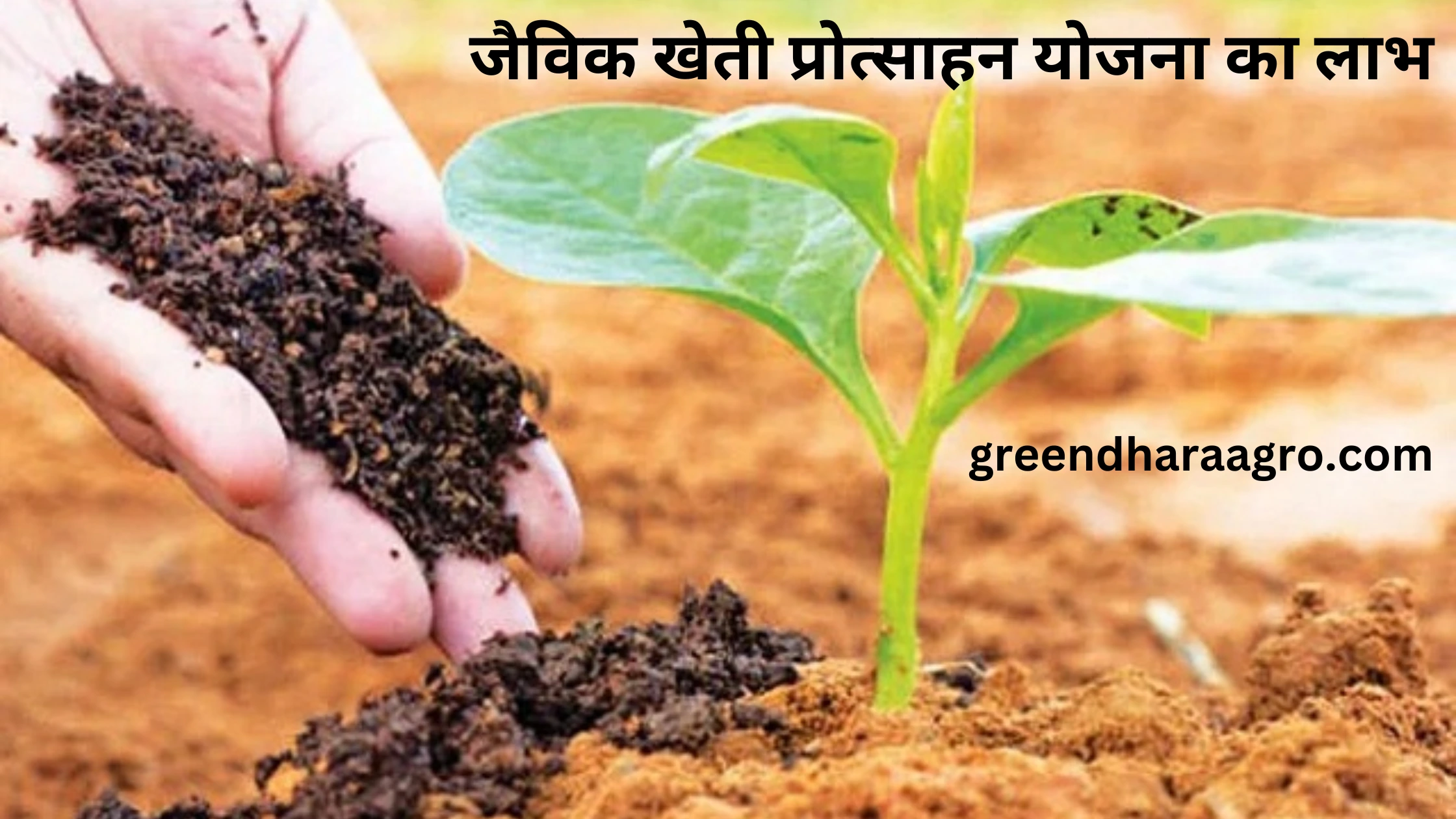 जैविक खेती प्रोत्साहन योजना | Organic Farming Scheme Explained in Hindi