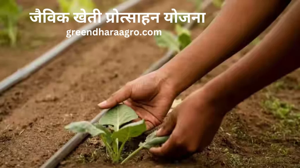 Benefits Of Organic Farming Scheme