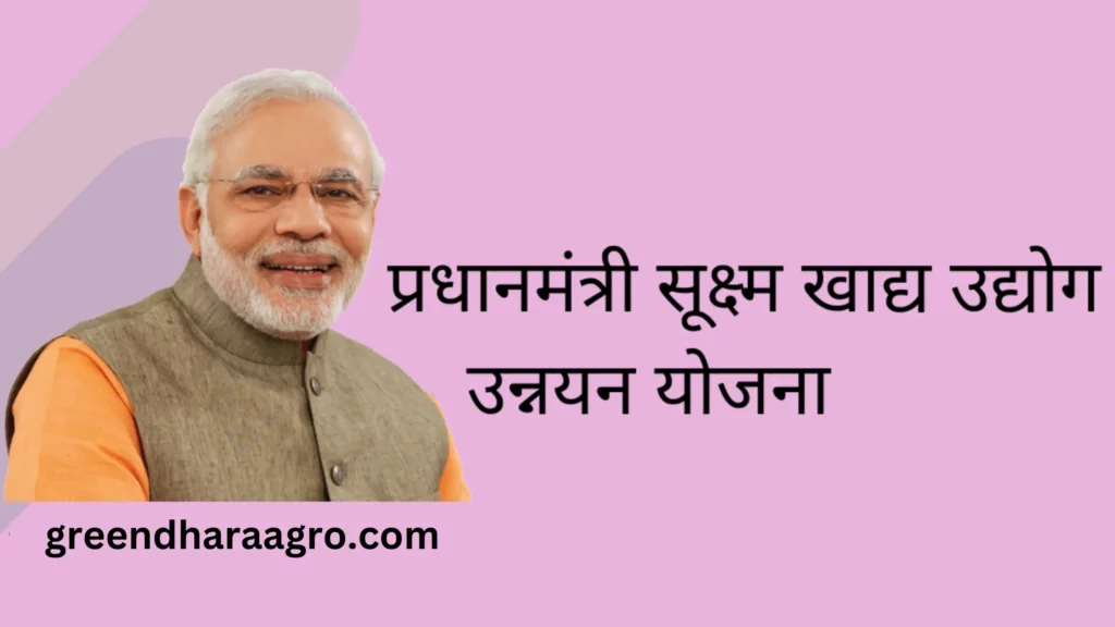 PM Suksham Khadya Udyog Unnayan Yojana in hindi