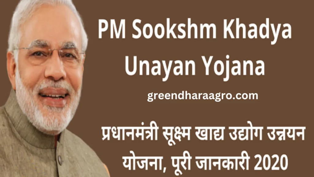 PM Suksham Khadya Udyog Unnayan Yojana kya hai
