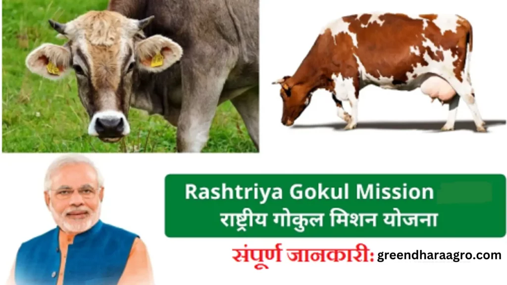 Rashtriya Gokul Mission ke bare me sampurn jankari in hindi