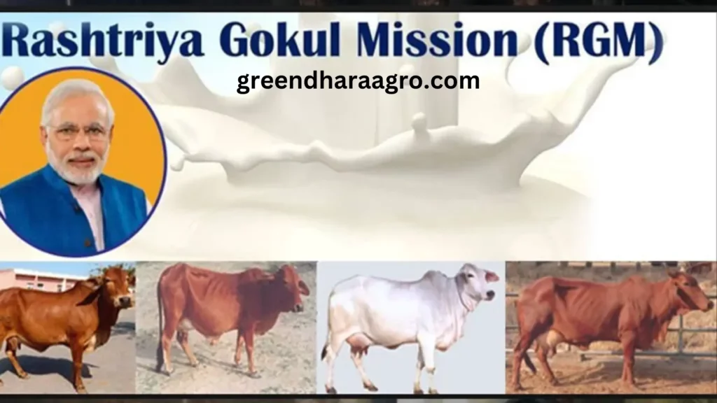 Rashtriya Gokul Mission in hindi