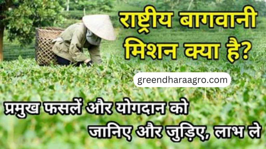 National Horticulture Mission ke labh hindi me