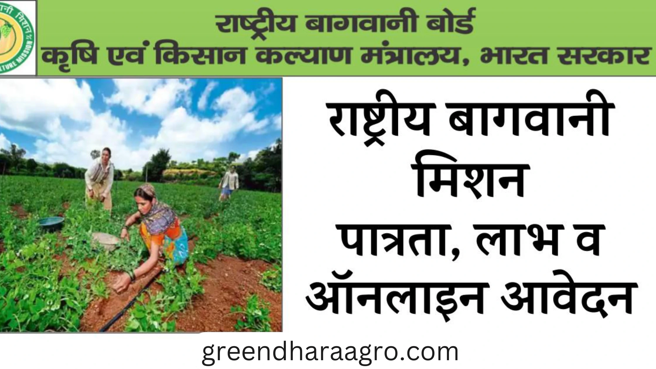 राष्ट्रीय बागवानी मिशन (NHM) क्या है | National Horticulture Mission in Hindi