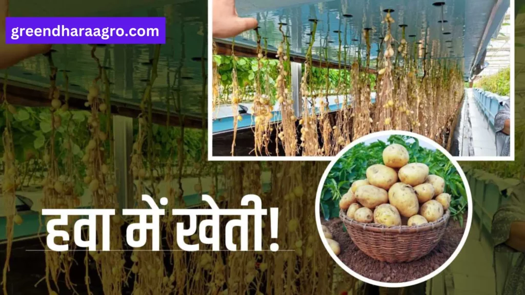 Aeroponic Farming in hindi