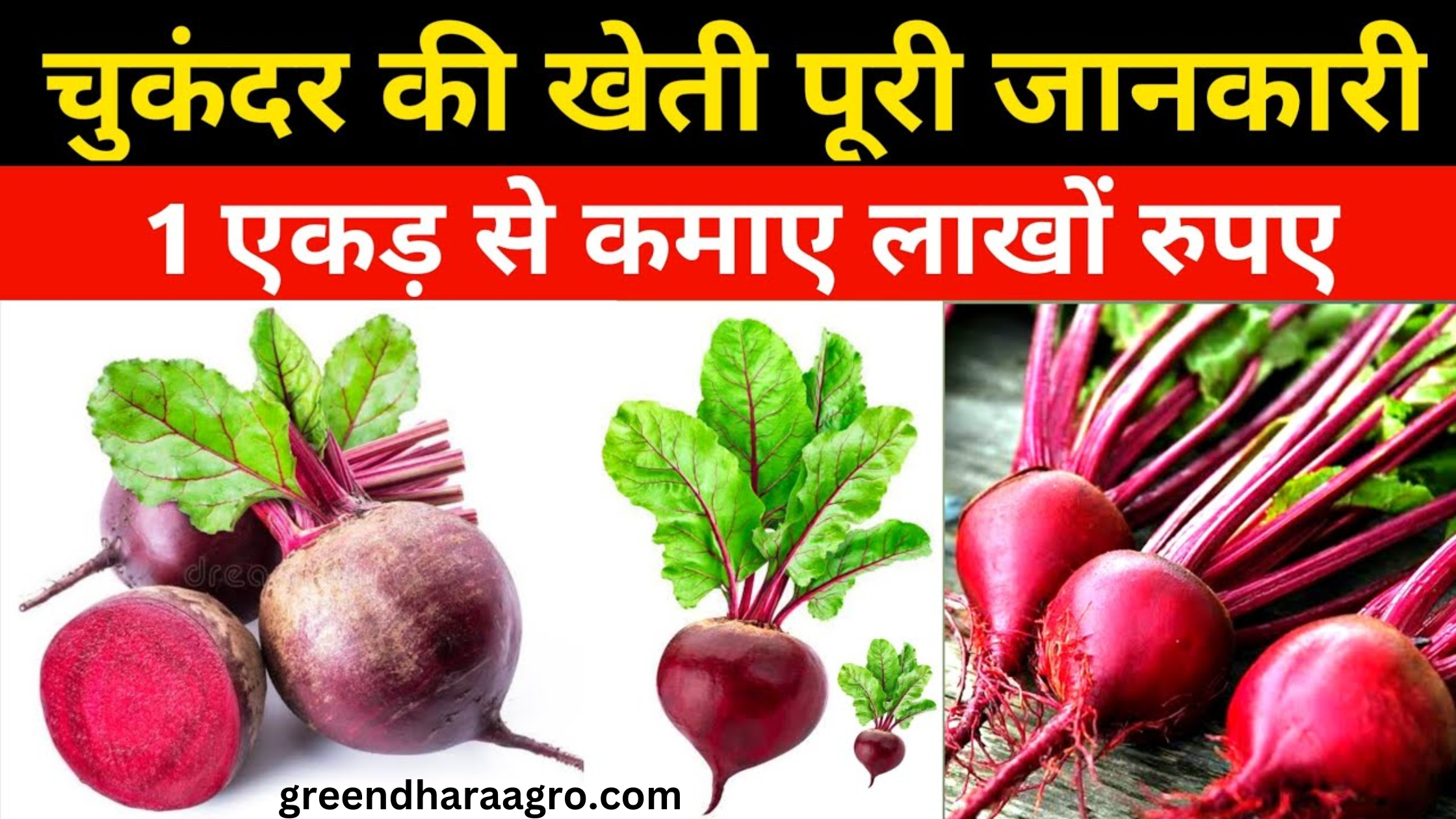 farming ideas in hindi