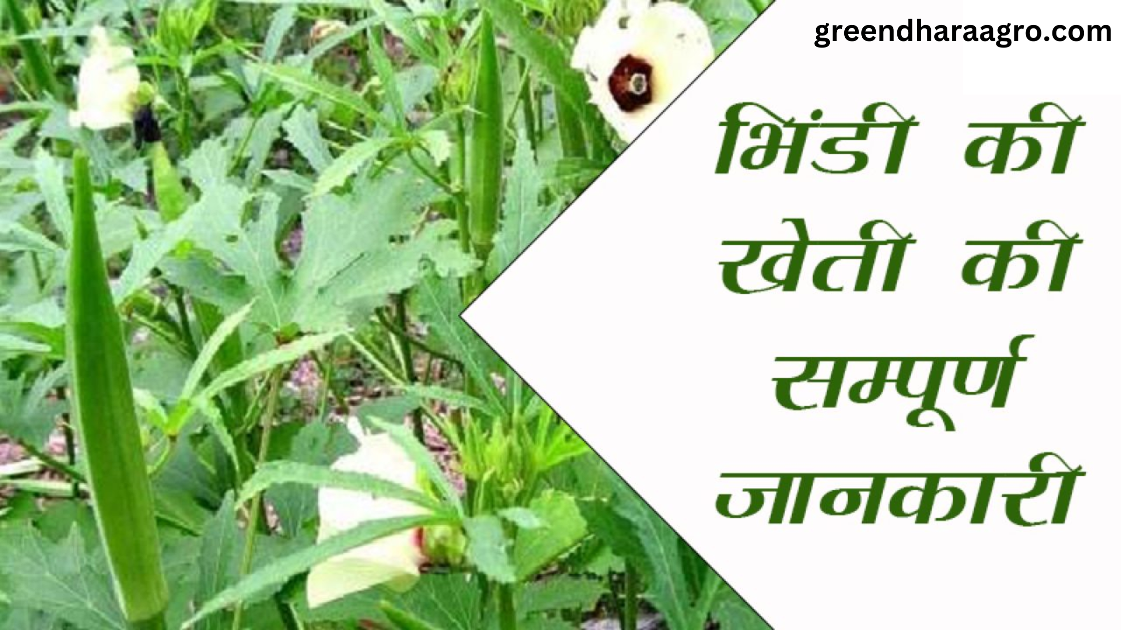 farming ideas in hindi 2023