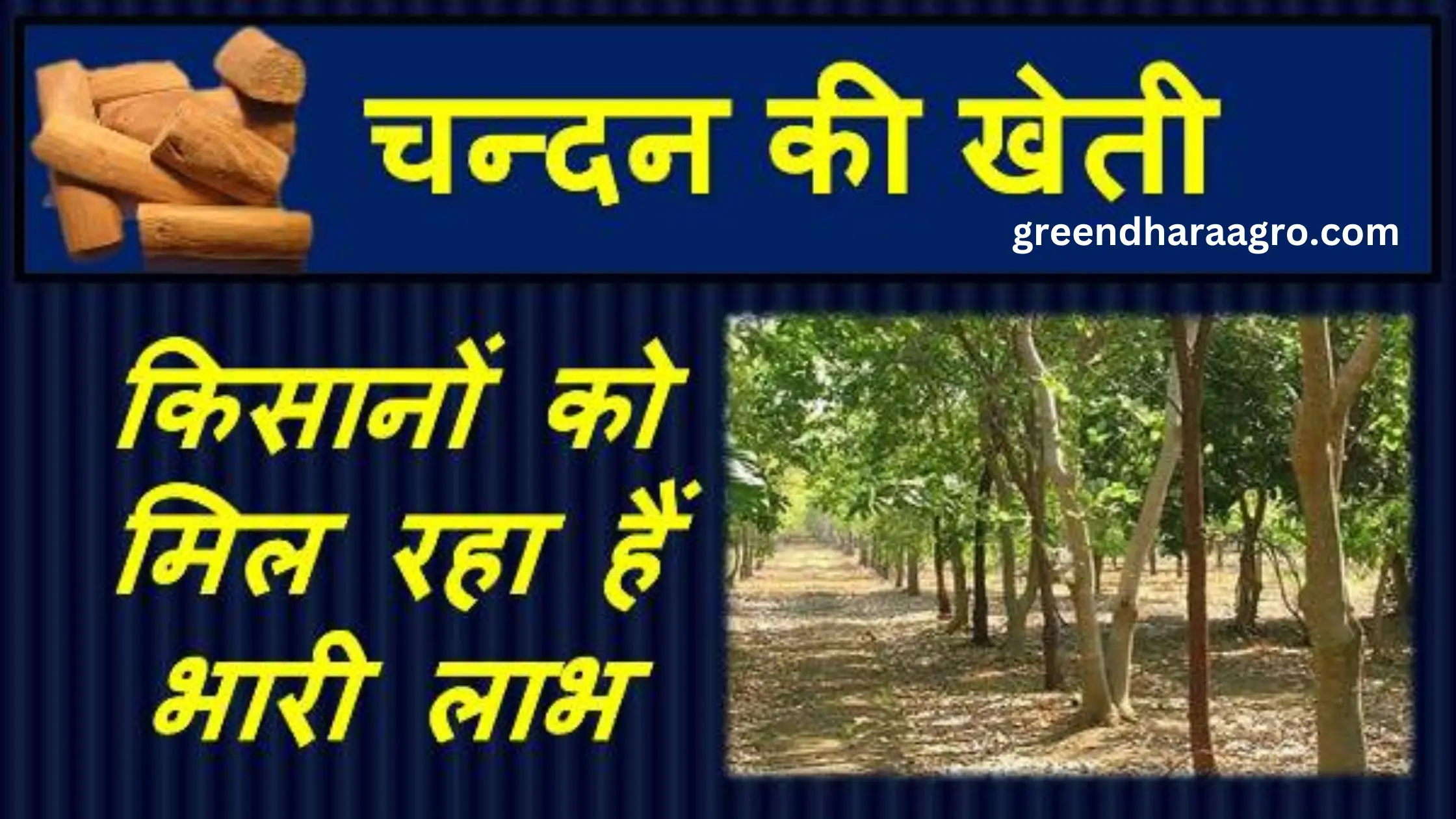 farming business ideas in hindi