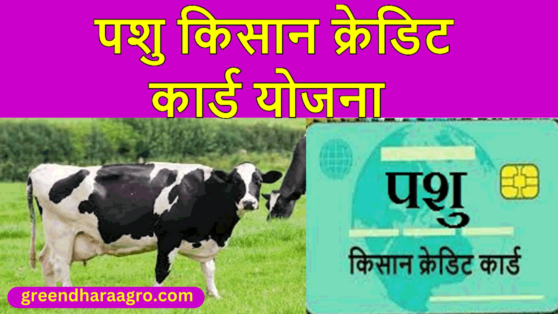 govt. scheme in hindi