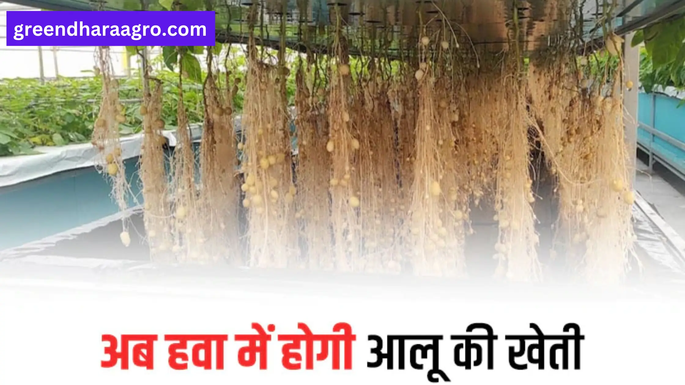 Aeroponic Farming ke labh