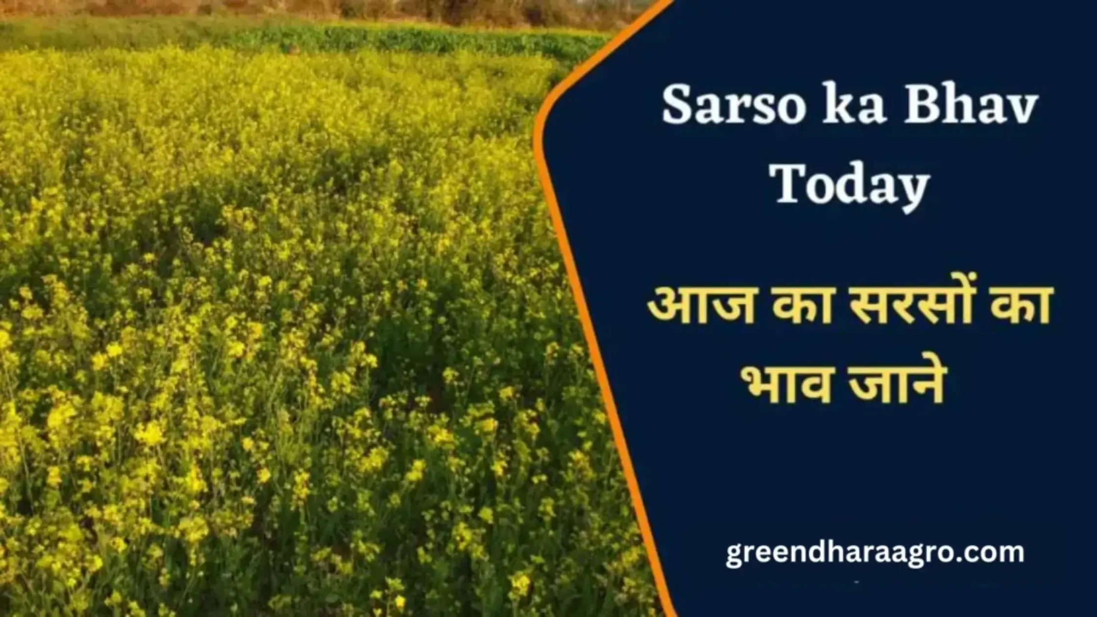 sarson mandi